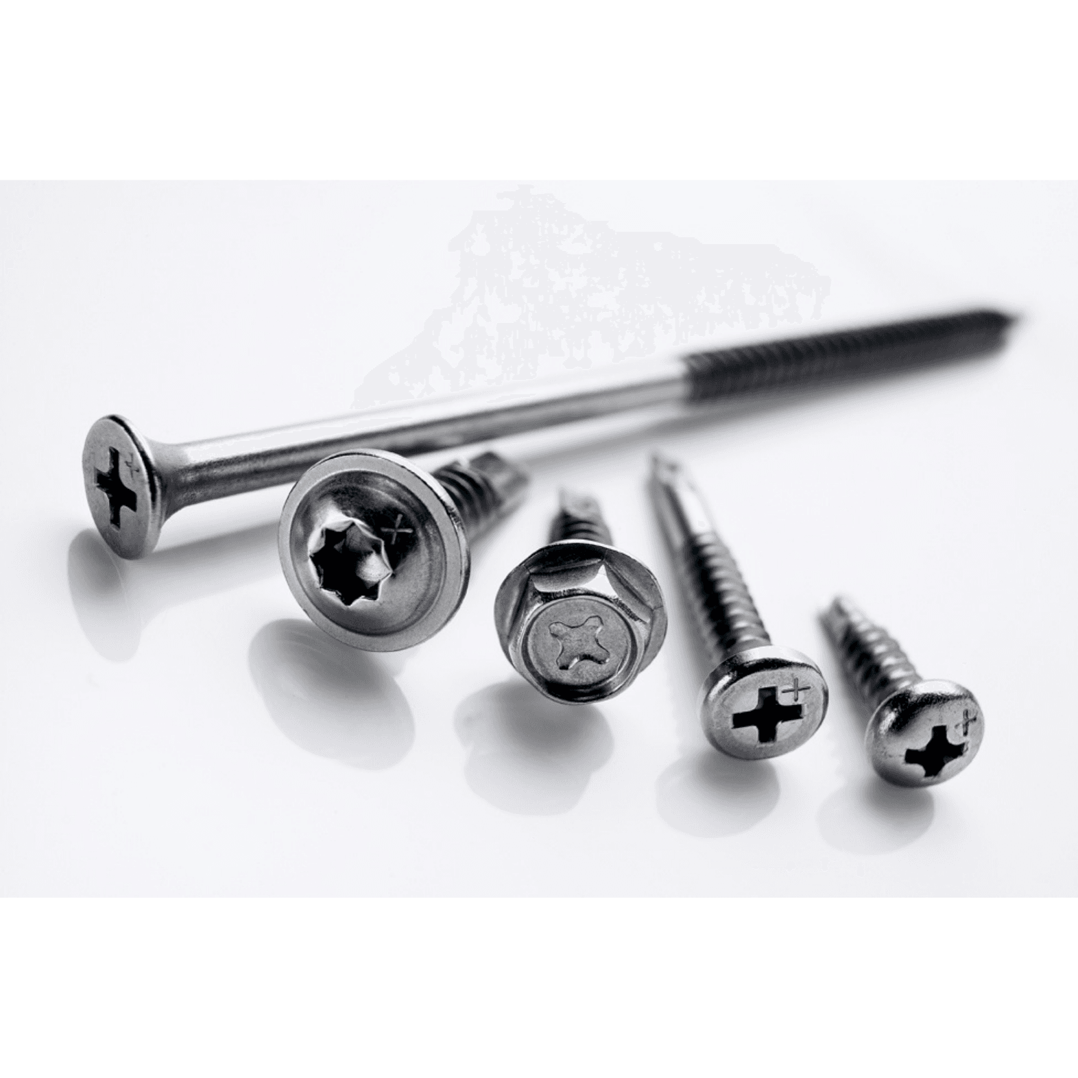 Close-up of Marutex stainless screws for different fastening applications
